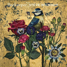 Beekeeper mp3 Album by Steve Wickham