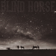 Patagonia mp3 Album by Blind Horse