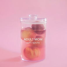 Soft Spots mp3 Album by Adult Mom