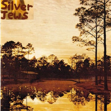 Starlite Walker mp3 Album by Silver Jews