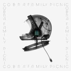 Music for Lava Lamps mp3 Album by Cobra Family Picnic