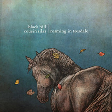 Roaming In Teesdale mp3 Album by Black Hill & Cousin Silas