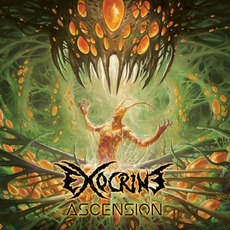 Ascension mp3 Album by Exocrine