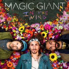 In the Wind mp3 Album by Magic Giant