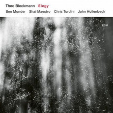 Elegy mp3 Album by Theo Bleckmann