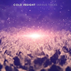 Various Tracks mp3 Artist Compilation by Cold Insight