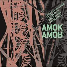 We Know Not What We Do mp3 Album by Amok Amor