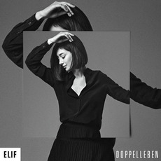 Doppelleben mp3 Album by Elif