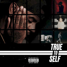 True to Self mp3 Album by Bryson Tiller