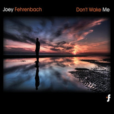 Don't Wake Me mp3 Album by Joey Fehrenbach