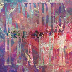 Wounded Healer mp3 Album by Celebration