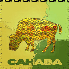 The Pale Whale mp3 Album by Cahaba
