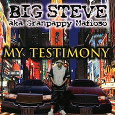 My Testimony mp3 Album by Big Steve