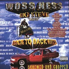 Back To Back Hits (Screwed & Chopped) mp3 Album by Big Steve