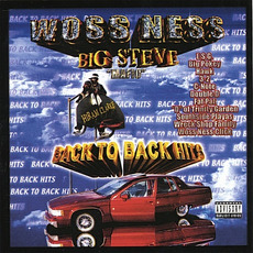 Back To Back Hits mp3 Album by Big Steve