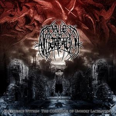 Emergence Within The Corridor Of Unholy Lacerations mp3 Album by Vale Of Miscreation