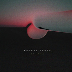 Animal mp3 Album by Animal Youth