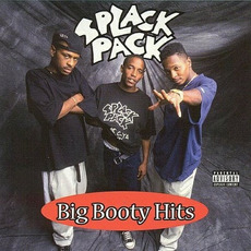 Big Booty Hits mp3 Artist Compilation by Splack Pack