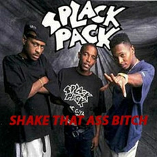Shake It Baby mp3 Single by Splack Pack
