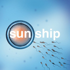 The Sun Ship mp3 Single by The Brian Jonestown Massacre