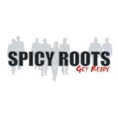 Get Ready mp3 Album by Spicy Roots