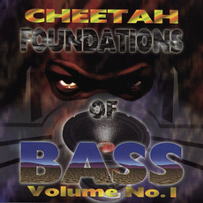 Foundations of Bass, Volume 1 mp3 Artist Compilation by DJ Magic Mike