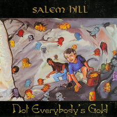 Not Everybody's Gold mp3 Album by Salem Hill