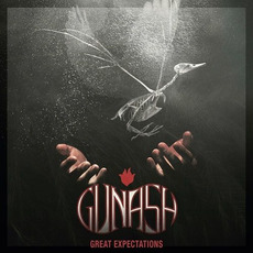 Great Expectations mp3 Album by Gunash