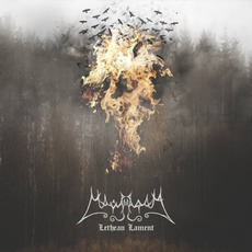 Lethean Lament mp3 Album by Mavradoxa