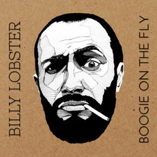Boogie On The Fly mp3 Album by Billy Lobster