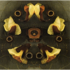 Corteggiando le messi mp3 Album by Alio Die & Saffron Wood