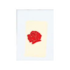 LANY mp3 Album by LANY