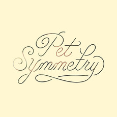 Vision mp3 Album by Pet Symmetry