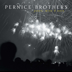 Yours, Mine & Ours mp3 Album by Pernice Brothers