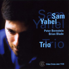 Trio mp3 Album by Sam Yahel