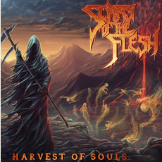 Harvest of Souls mp3 Album by Scars of the Flesh
