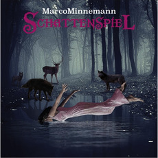 Schattenspiel mp3 Album by Marco Minnemann