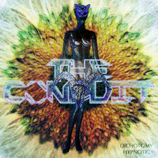 Dichotomy Hypnotic mp3 Album by The Conduit