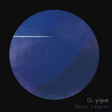 Moon Lagoon mp3 Album by Co-pilgrim