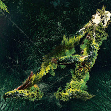 Arborescent mp3 Album by Valerinne