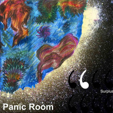 Panic Room mp3 Album by Surplus