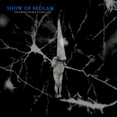 Transfiguration mp3 Album by Show Of Bedlam