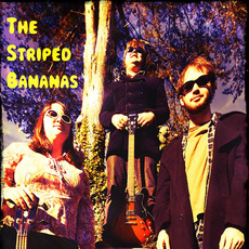 LIVE EP mp3 Album by The Striped Bananas