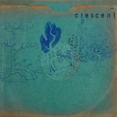 Resin Pockets mp3 Album by Crescent