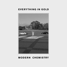 Everything in Gold mp3 Album by Modern Chemistry