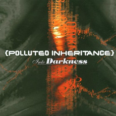 Into Darkness mp3 Album by Polluted Inheritance