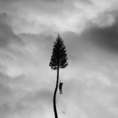 A Black Mile to the Surface mp3 Album by Manchester Orchestra