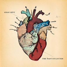 The Heart Collector mp3 Album by Adam Levy