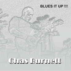 Blues It Up mp3 Album by Chas Burnett
