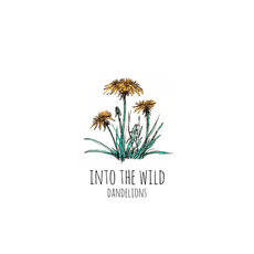 Dandelions mp3 Album by Into The Wild